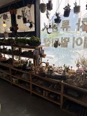리뷰 사진