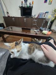리뷰 사진