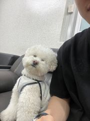 리뷰 사진