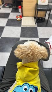 정비 후기 사진